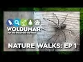 Nature Walks Woldumar Episode 1