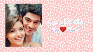 والله شكلي حبيتك حياة مراد 