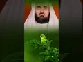 Download Lagu Sheikh Abdullah matrood #beautifulquran #quranicvibes