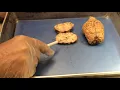 Sheep Brain IV