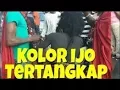 Download Lagu Heboh Kolor Ijo Tertangkap Warga! Ternyata Ini Fakta Sebenarnya