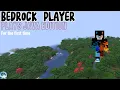 Minecraft Bedrock Player plays Java edition for the first time