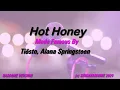 Tiësto, Alana Springsteen   Hot Honey (Karaoke Version) Lyrics