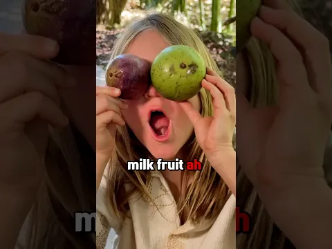 It’s definitely the Milkiest of fruits! 🥛 #romeoeats