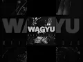 EXCLU : MAUVAIS DJO - WAGYU 
