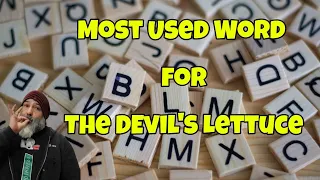 Download What's the most common word for the Devil's Lettuce MP3