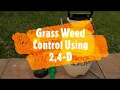 Lawn Weed Control Using 2 4-D