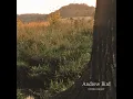 Effigy - Andrew Bird