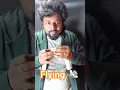 Download Lagu Flying money 💰  magic 🎩 tricks  revealed ✨️ #viral #money #flying #me #others #shorts #tutor