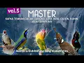 Lagu MASTER Vol5 Kapas tembak , Cucak Cungko , Love Bird , Cililin, konin Jeda terapi air.