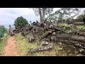 Download Lagu Gunung padang ternyata bukan ujung ‼️ ada kampung di atas sampe 7 RT