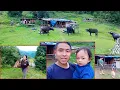 Download Lagu De gelukkige familie van meneer Nati in het dorp in de schuur van de jungle || leven in het dorp@...
