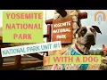 Yosemite National Park with a Dog