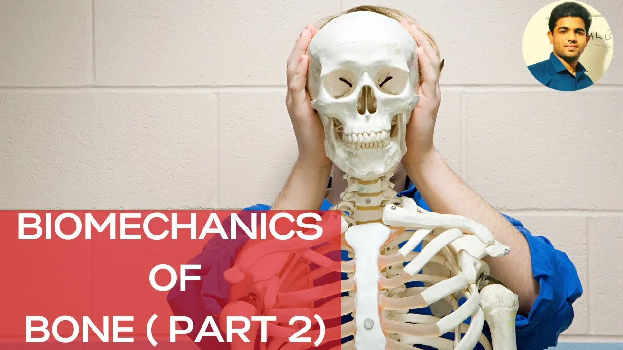 BIOMECHANICS OF BONE( PART 2)