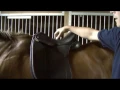 Saddle Fitting in 9 Steps - Step 1