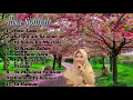 Download Lagu Full Album Sholawat Risa Solihah Merdu