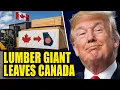 A Canadian Lumber Giant Is Moving Its Head Office To Georgia - And Blames The Tariffs