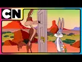 Download Lagu Looney Tunes 🐰| Wile E. Coyote’s Wildest Fails! | Animated Cartoon 😍| Best Cartoon 🥳| @cnindia