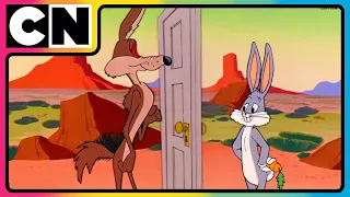 Looney Tunes Wile E Coyote S Wildest Fails Animated Cartoon Best Cartoon Cnindia 