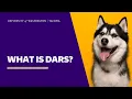 What is DARS 3 of 7