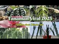 Download Lagu Tanaman Viral 2025 | Keindahan Dunia Tanaman Hias #tanamanhias #tanamanviral2025 #bungaviral2025