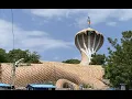 Download Lagu Largest Naga Snake at Nampally Gutta | Vemulawada | Rajanna Sircilla | Telangana
