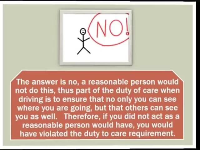 The Reasonable Person Standard