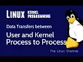 289 - Data Transfers between