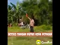 Download Lagu Cocofun lucu ngakak~Story wa terbaru || Part4