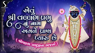 Ewu Shri Vallabh Prabhu Nu Naam.. Amne Praan Pyaaru Che - SHRI VALLABH PRABHUJI NA BHAJANO