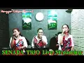 SENADA TRIO   Cover Lagu Pop Nostalgia AKU BUKAN PINTU Cipt Loela Drakel @Hanggan Erikson Channel