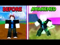 Going From Noob to Mink v4 Awakened in One Blox Fruits