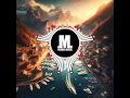 Allegra & Tiësto - Round & Round (Tiësto Remix)