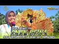 Download Lagu ANAK DEWA - VOC. DIYANTI DY || SHOW DESA BOGISTUA ANJATAN - INDRAMAYU