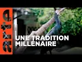 Download Lagu Au Japon, la pêche au cormoran : une tradition millénaire | ARTE Family