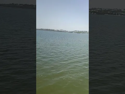 Bhopal lake view #shorts #shortsfeed #viral