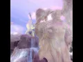 heaven gates