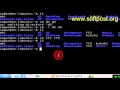 cp command in Bash