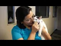 City of McAllen Hosts Kitty Internship with PVAS Pets