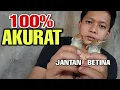 cara mudah membedakan burung prenjak JANTAN dan BETINA