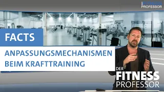 anpassungsmechanismen beim krafttraining