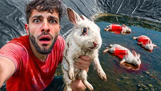 ‼️24 Horas RESCATANDO ANIMALES de TRAMPAS MORTALES‼️