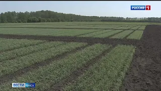 «Вести Омск», итоги дня от 5 июня 2023 года