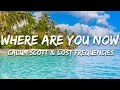 Download Lagu Calum Scott \u0026 Lost Frequencies - Where Are You Now (Lyrics)