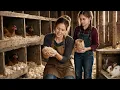 They Dumped Aspen Wood Waste on Her Farm for 11 Years She Turned It Into a 300 000 Nesting Brand
