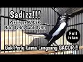Lagu NGERI‼️ SUARA KACER GACOR FULL ISIAN ‼️UNTUK MENDONGKRAK KACER LAIN AGAR CEPAT GACOR