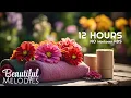Relaxing Spa Music to Relieve Stress Sleep Better and Relax Mind