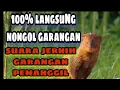 Download Lagu Suara Garangan Memanggil 100% Muncul