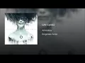 Life Cycles - Annisokay