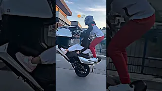 Cheb Amine Tigre 2024 اغاني راي اغاني راي Rai Dj اكسبلور تيك توك Music منيني ابوني ياك با 